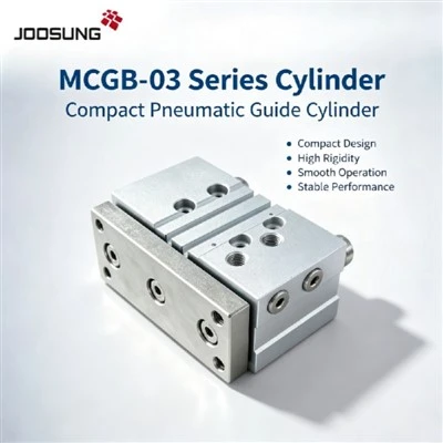 MCGB - 03-25-30 كىچىك قوش يېتەكچى ئۆپكە سىلىندىر